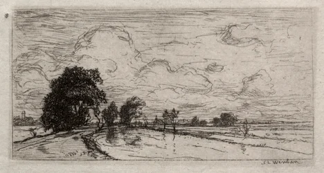 Paesaggio allagato con alberi