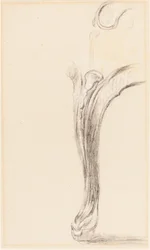 Studio di una gamba di sedia