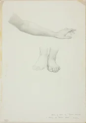 Braccio e Piedi, studio per Specchio di Venere