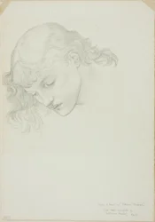 Testa, studio per Specchio di Venere