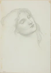 Testa di donna con occhi chiusi