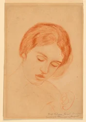 Testa di Donna
