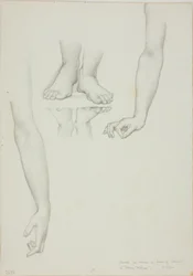 Studio per Specchio di Venere: Braccia e Piedi di Venere