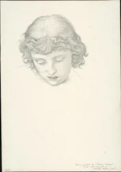 Studio per Specchio di Venere: Testa