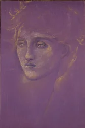 Testa di donna