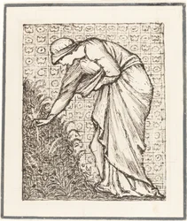 Signora che raccoglie fiori