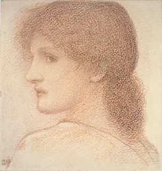 Studio della testa di una donna, girata a sinistra