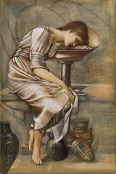 La serie della rosa canina - Studio per 