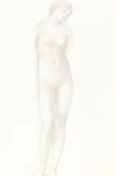Venere