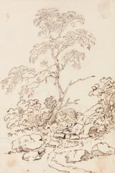 Albero vicino ai gradini