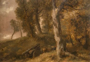 Studio di Alberi, 1874