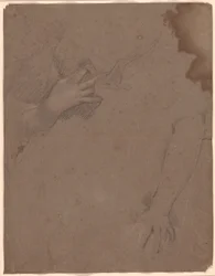 Disegni di Mani
