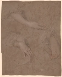 Disegni di mani
