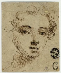 Testa di giovane donna