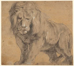 Leone