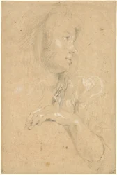Giovane donna di profilo