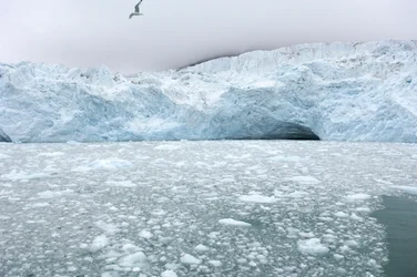 Pezzi di ghiaccio dai ghiacciai vicini galleggiano nel mare artico, Isole Svalbard, Norvegia