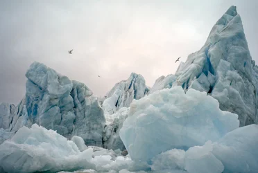 Iceberg nel mare artico intorno all