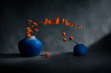 Vasi blu, fiori arancioni
