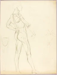 Studio anatomico