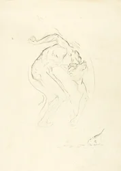 Sogno di un Broncho #8
