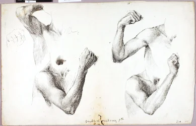 Studi a quattro braccia, n. 1