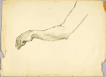 Studio del braccio