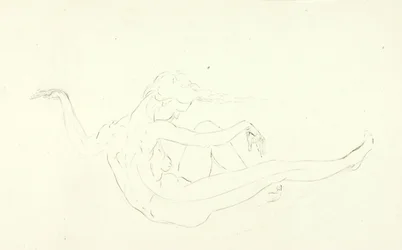 Nuotare nudi