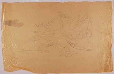 Nudi di nuoto