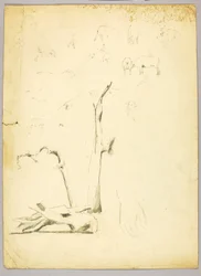 Tronchi d