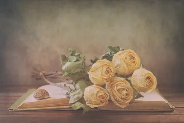 Rose essiccate su un vecchio libro
