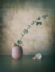 Vaso rosa “Eucalyptus Snail”