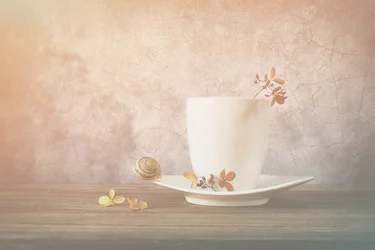 Tazza da tè “Lumaca tranquilla”