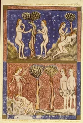 Adamo ed Eva, illustrazione dall