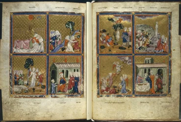 Scene dalla Genesi, dalla 
