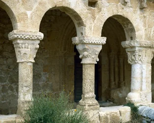 Arcate dell
