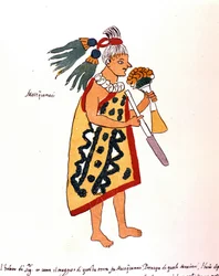 Sacerdote azteco nel Codice Vaticano 3738 (Codice Vat. Rios). Facsimile del manoscritto di Pedro de los Rios, tra il 1570 e il 1589, Bibl. Vaticana.