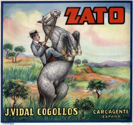Cavaliere su un cavallo impennato. Manifesto pubblicitario spagnolo, Valencia