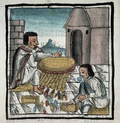 Codice della conquista del Messico: metodo di conservazione del cibo contro la fame
