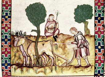 Fol.237r Un contadino che insegna a suo figlio a arare un campo