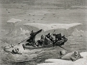 Caccia alla tricheco con arpioni nelle isole Svalbard, illustrazione da 