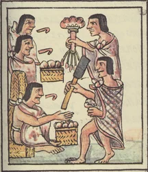 Ms Palat. 218-220 Una festa azteca, dal Codice Fiorentino di Bernardino de Sahagun, c.1540-85