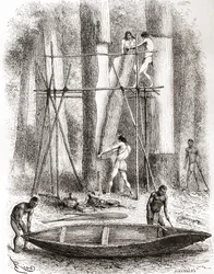 Indiani nativi che costruiscono una canoa sulle rive del fiume Oyapock o Oiapoque, Sud America (incisione)