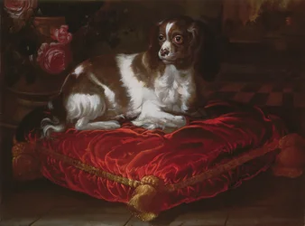 Spaniel su un cuscino