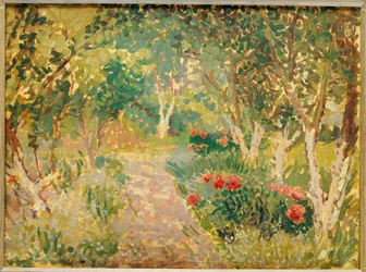 Un parco boschivo