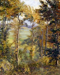 Paesaggio boscoso a Tibermont, Neuville Les Dieppes