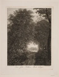 Strada nel bosco