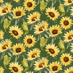 Motivo Girasoli, 2020