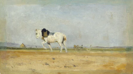 Cavallo da aratro in un campo