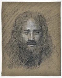 Testa di uomo barbuto